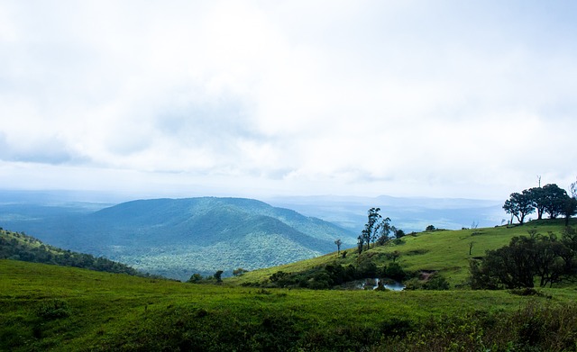 荷甲战报：费尔曼、佩皮破门，埃因霍温2-0战胜海伦芬