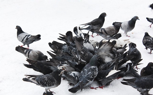 国脚关键传球完成制胜球