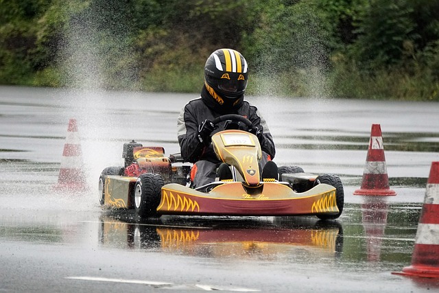 F1圣保罗大奖赛排位赛：诺里斯雨战夺杆位.