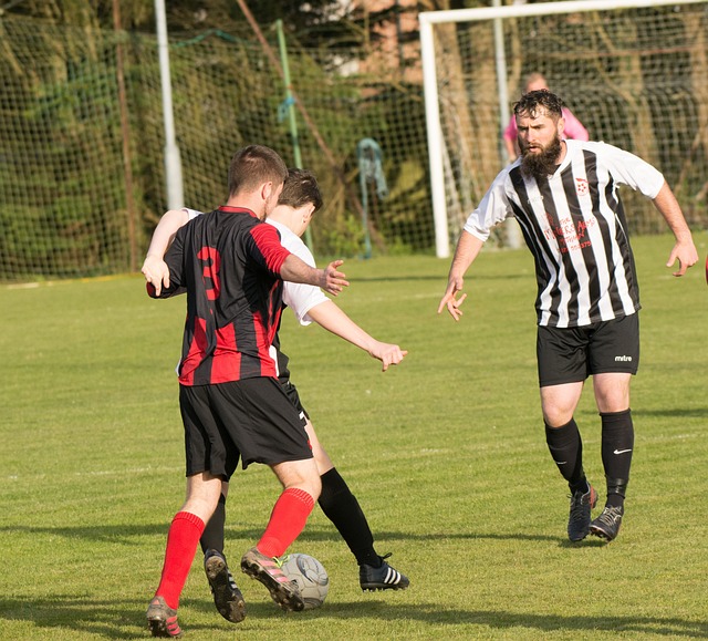 的表现堪称 的表现堪称