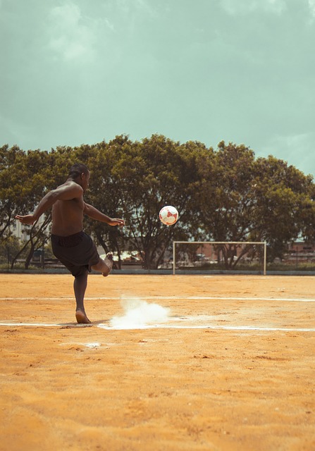 的竞争力 的竞争力