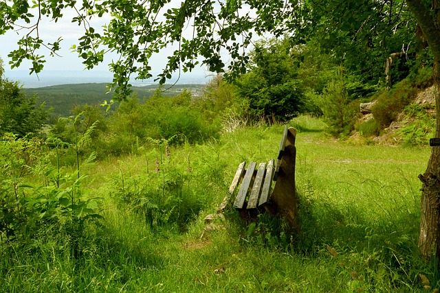 参赛国家和 参赛国家和