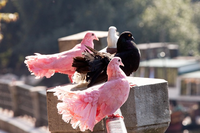 带来更加安 带来更加安