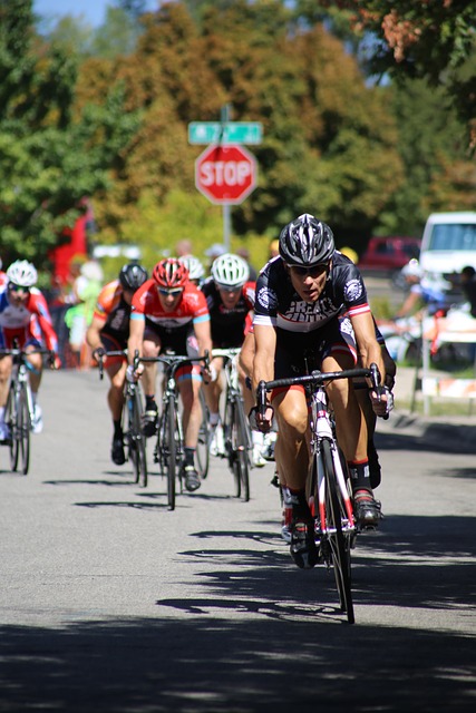 新秀的崛起 新秀的崛起