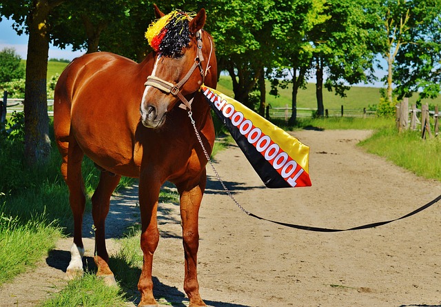 的恢复速度 的恢复速度