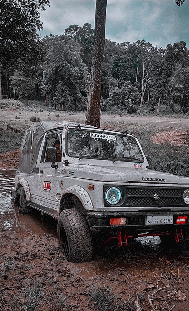 势必将他们 势必将他们